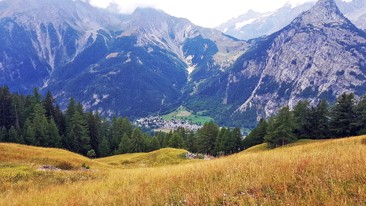 utmb