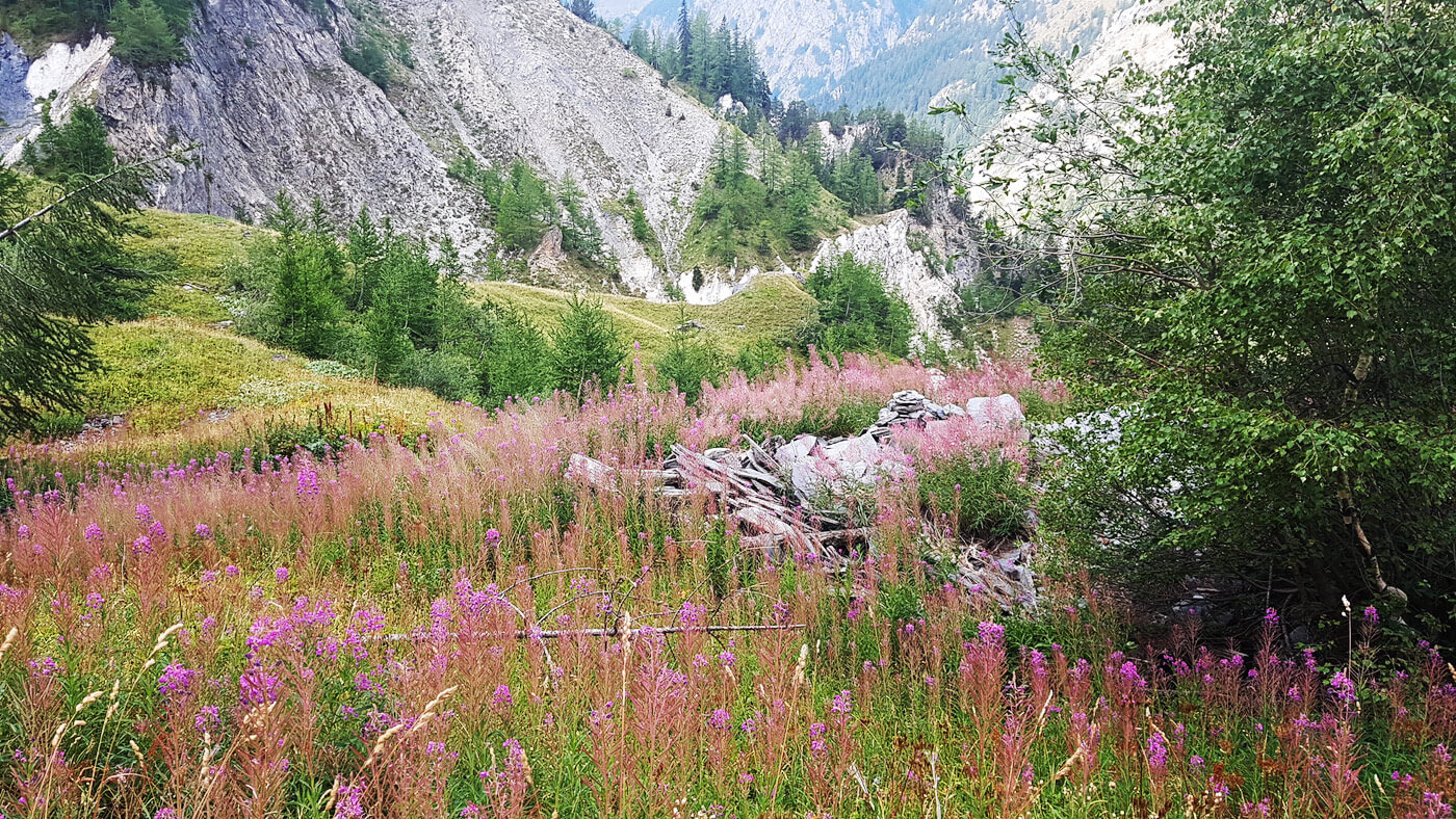 UTMB